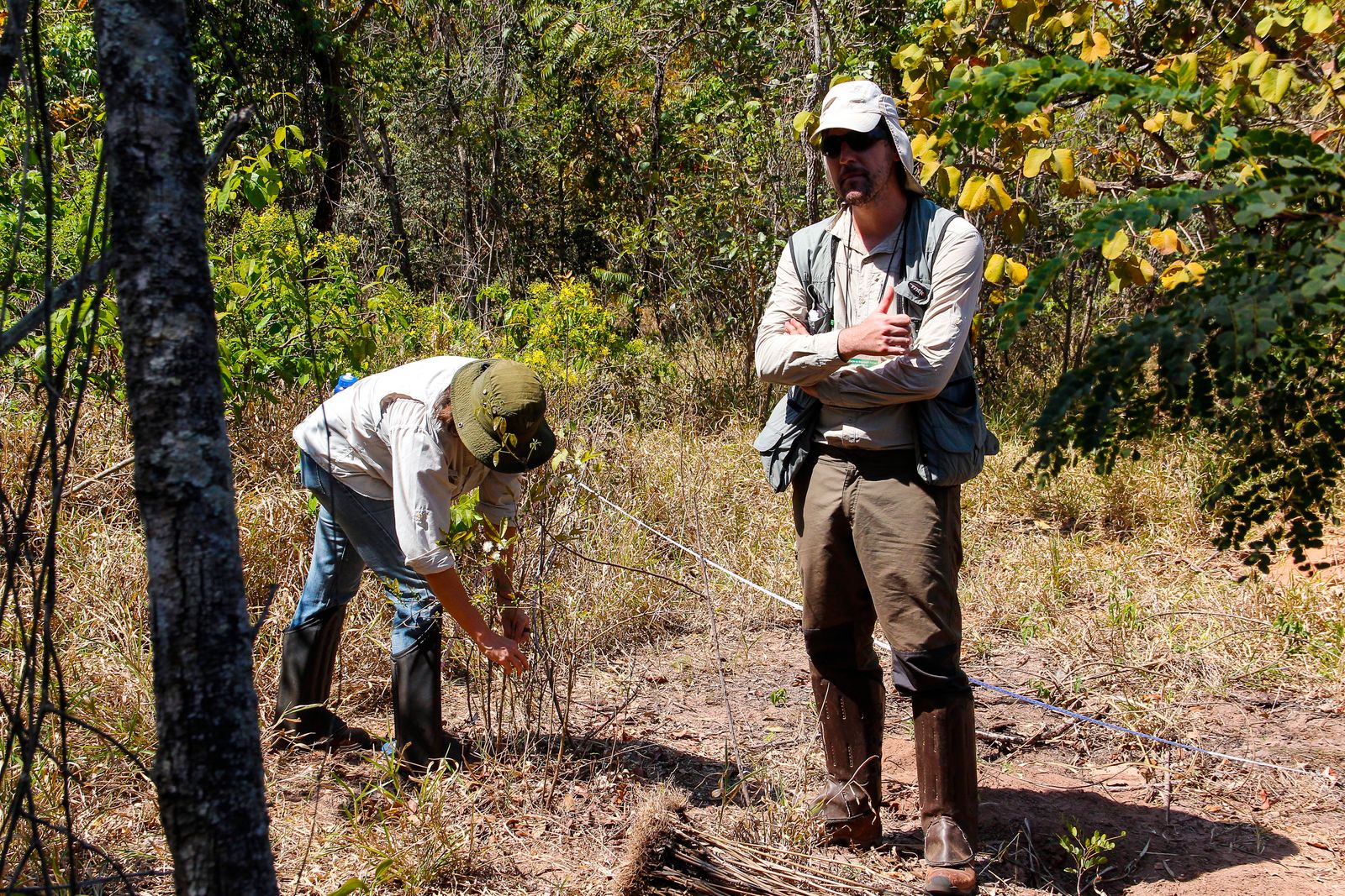  Webinar Avaliação de resultados nos projetos de restauração ecológica reúne especialistas 